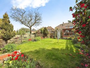 Photo 11- click for photo gallery